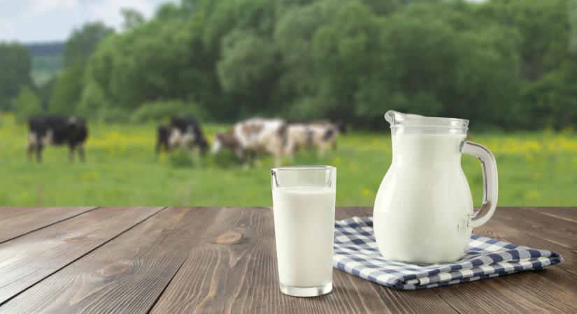 Lejárt szavatosságú tejbe kortyoltál? Nem kell mindjárt pánikba esni