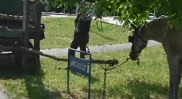 Kimentek egy győrzámolyi balesethez, amit láttak, arra a rendőrök sem voltak felkészülve - fotók