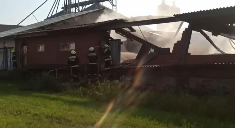 Így oltották el a tüzet a sertéstelepen, ahol négyszáz állat pusztult el a lángok között  videó