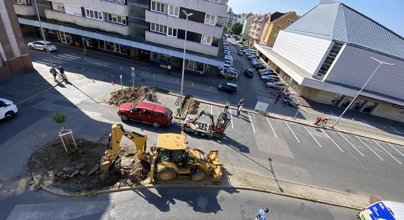 Levendulatelepítés folyik a szombathelyi Mártírok terén