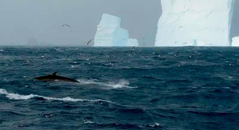 Komoly éghajlatváltozás formálódik az Antarktisz térségében