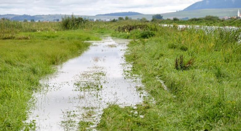 Árvízriasztást adtak ki a hidrológusok, Hargita és Maros megyei folyók is érintettek