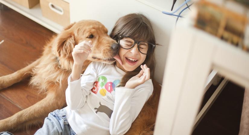 Ételallergia – újabb érv a kutyatartás mellett