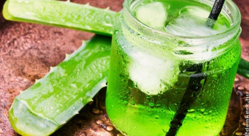 Az Aloe Vera ital mire jó, avagy miért érdemes rendszeresen fogyasztani?
