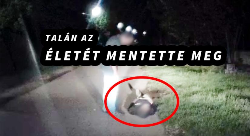 VIDEÓ: Na ezt soha ne csináld az M0-son / Nem hagyta az út szélén az alvó férfit egy autós