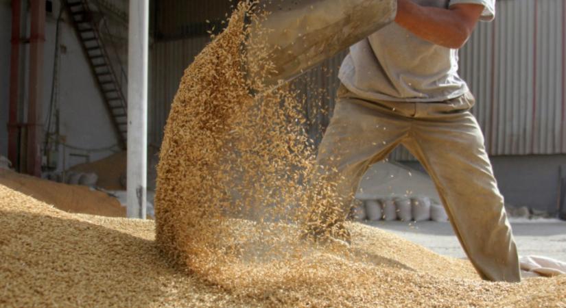 Engedett a Bizottság: meghosszabbítják az Ukrajnából származó gabona importjának korlátozását