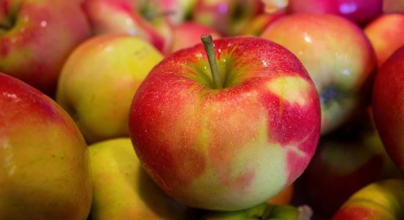 A májusi európai almakészletek 17,4%-kal alacsonyabbak 2022. májusához képest