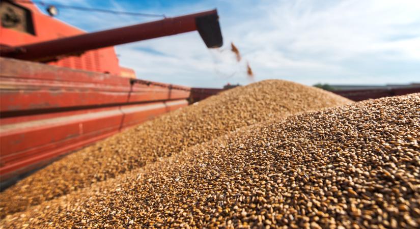 Elégedetlenek a gazdák az ukrán gabona importtilalmának meghosszabbításával