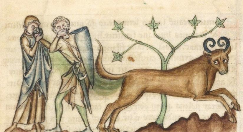 Robbanó fenekű szörnybikán röhögtek a középkorban