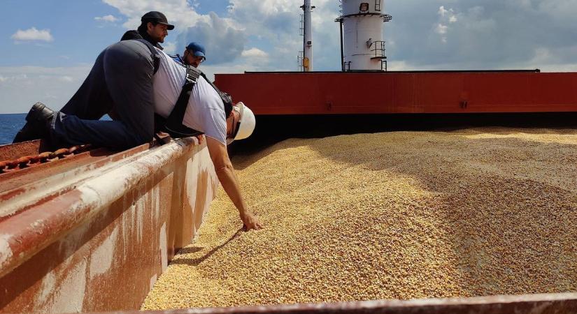 Őszig meghosszabbította Brüsszel az ukrán gabonára vonakozó importtilalmat