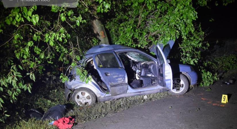 TRAGÉDIA: Megcsúszott a vizes úton, fának hajtott az autó – elhunyt egy 17 éves fiú