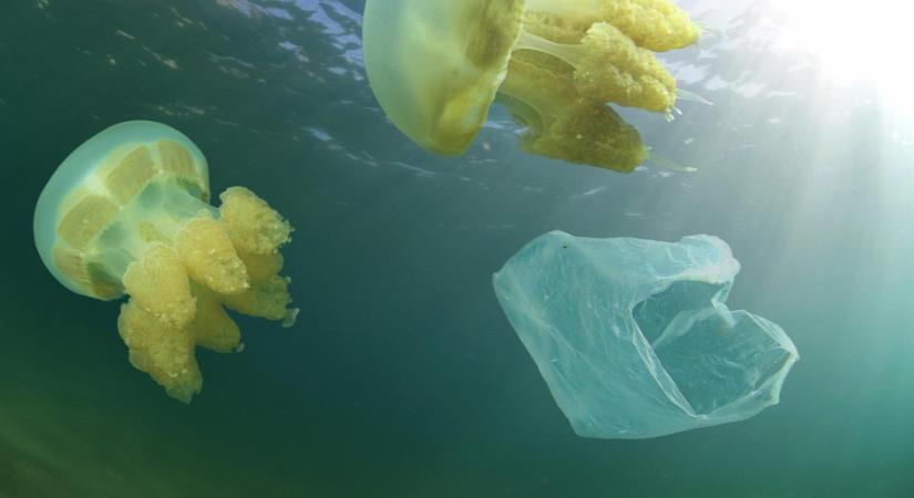 Évente annyi műanyaghulladék kerül az óceánókba, mint Jamaica területe