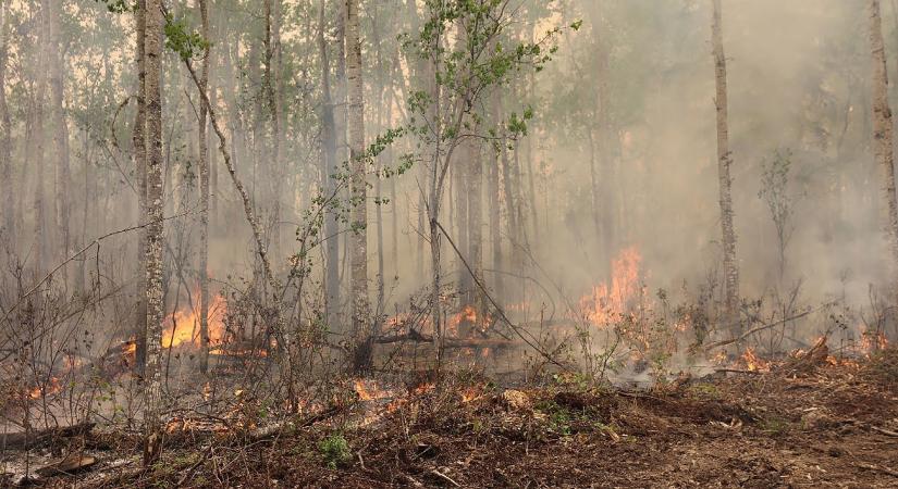 Európát is eléri a kanadai erdőtüzekből származó füst