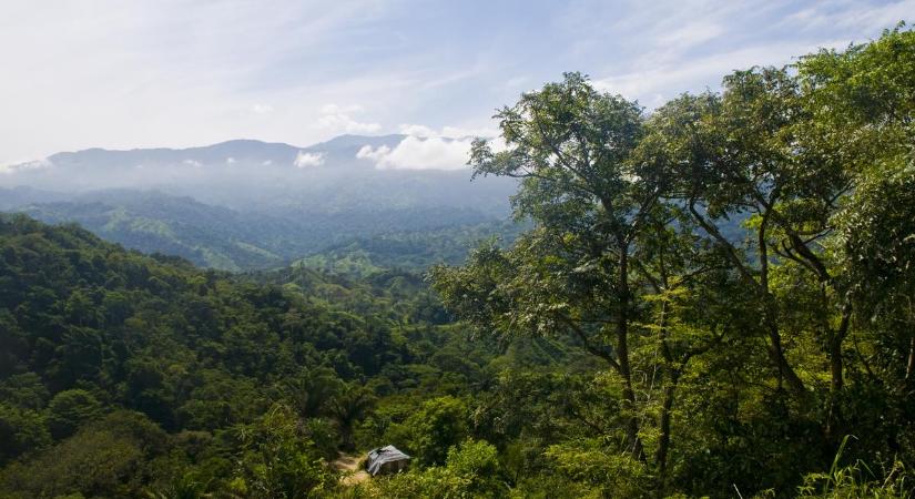 Az esőerdő mélyén bolyonghat a Kolumbiában lezuhant gépen utazó négy gyerek: nem adják fel a keresésüket!