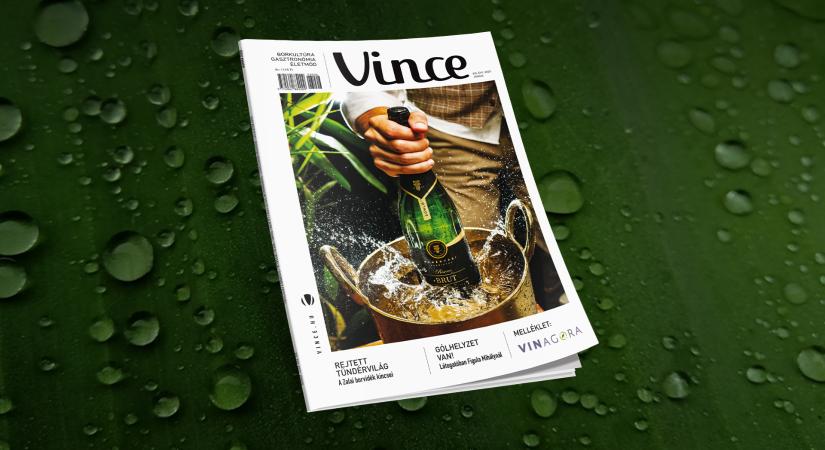 Vince Magazin júniusi lapajánló: Summertime