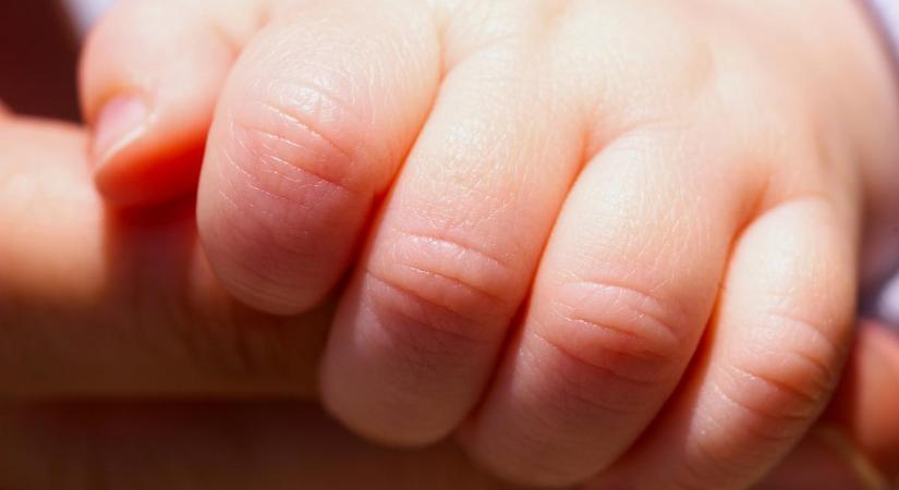 Évekig a munkát választotta a család helyett… 40 évesen lett anya a Duna Televízió sztárja