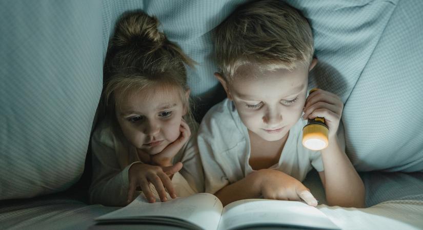 Hogyan szerettessük meg a gyerekekkel az olvasást?