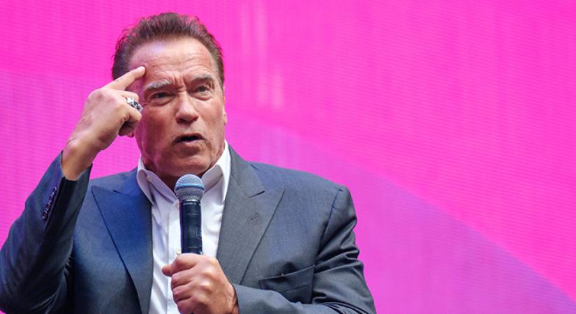 Házvezetőnője szülte ezt a fiút Arnold Schwarzeneggernek - ő volt a válóok!