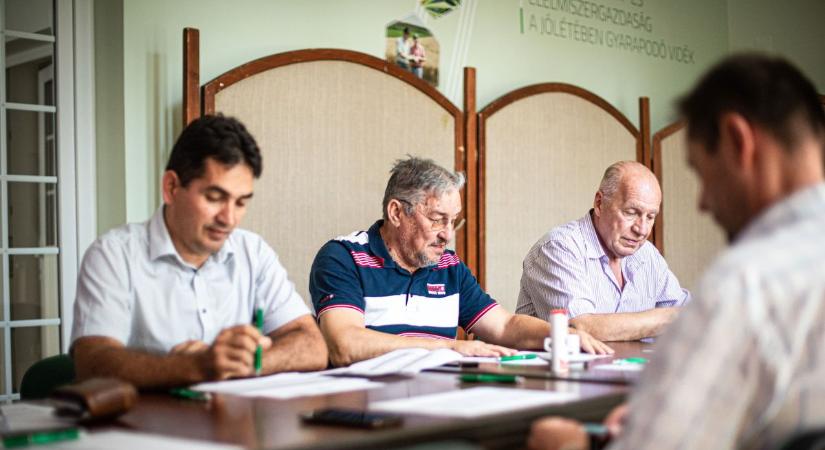 A mezei pocok eszi el a termést a kombájnok elől Békésben