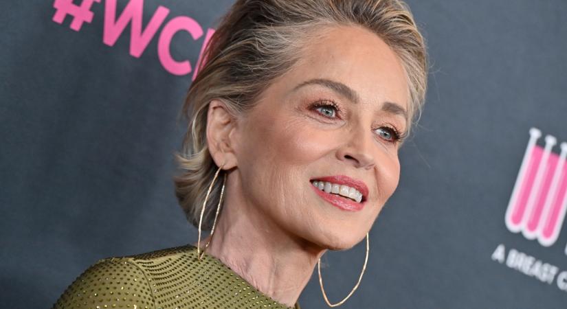 Sharon Stone dögös bikinit választott a szezonra: ezekért a fazonokért rajonganak idén a sztárok