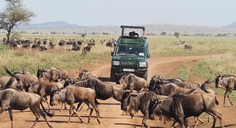 Ruanda és Tanzánia: Kelet-Afrika ékkövei