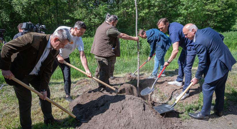 Facsemetéket rongáltak és pusztítottak el egy fővárosi erdőben ismeretlenek
