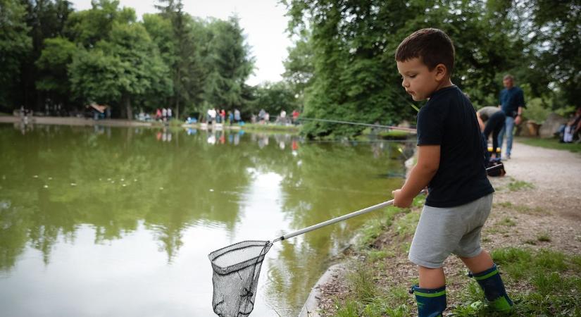 Biztonságosabbá teszik a tópartot Felsőtárkányban