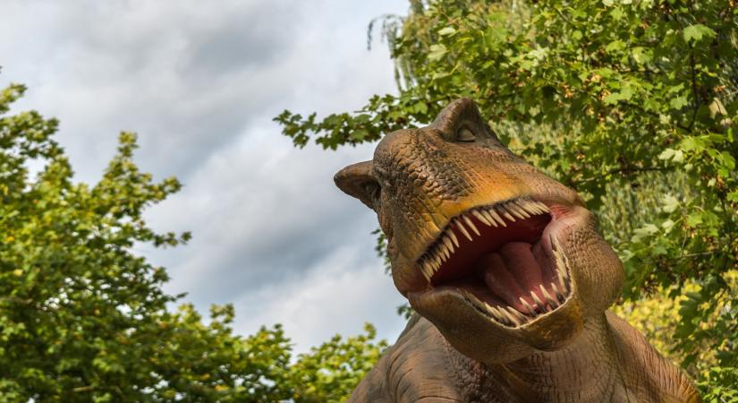Felismernéd a Jurassic Park hajdani gyereksztárját ma?