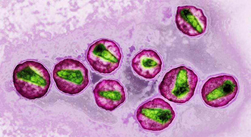 A HIV-gyógyszereket szedő páciensek szexuális úton egyáltalán nem fertőznek