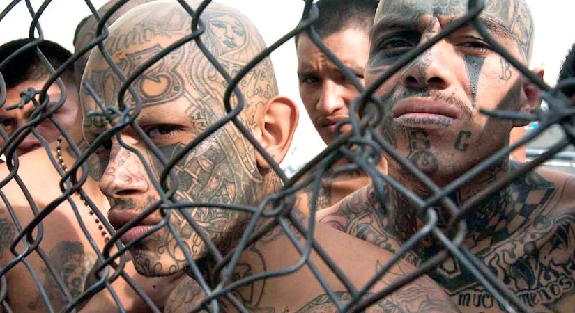 Ördögök az angyalok városában: varrios, a latino bandák