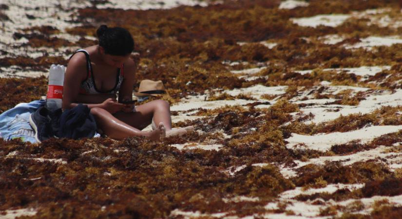 Rothadó hínár lepte el a világ egyik leghíresebb strandját - képek