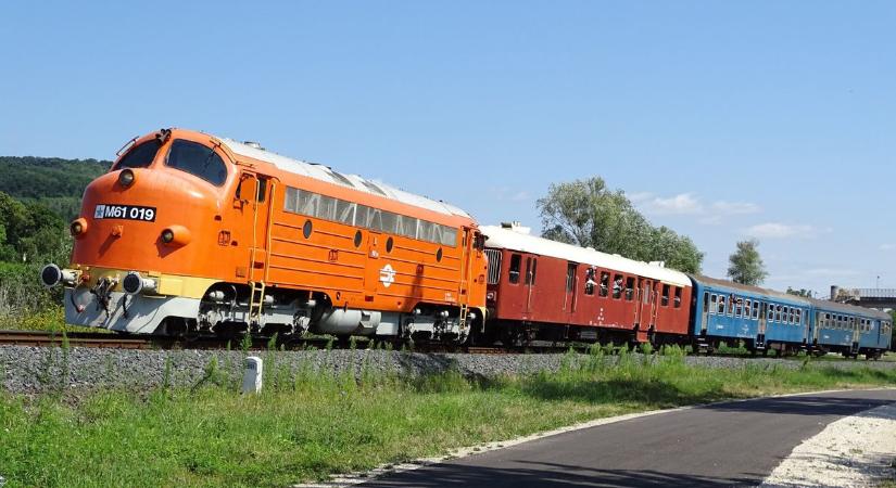 Hogy kerülnek a vonatra madarak, macskák, szöcskék?