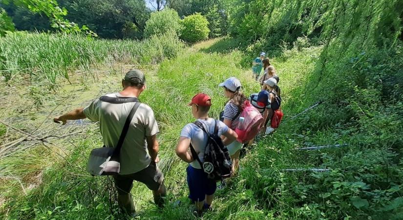 Őrölnek és dagasztanak, kirándulnak és piknikeznek