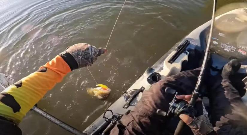 Kifogta a horgász a halat a folyóból, aztán jött a meglepetés - videó