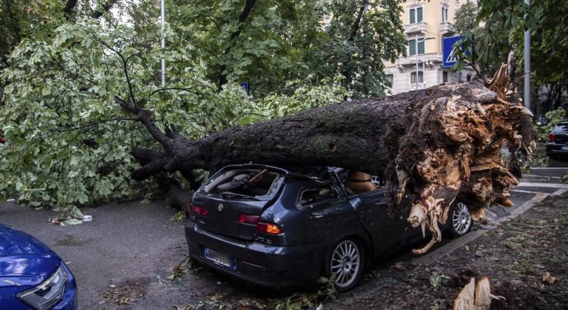 Nagyon felmelegedett a Földközi-tenger, és ez nem csak az ott élők számára tartogat veszélyeket