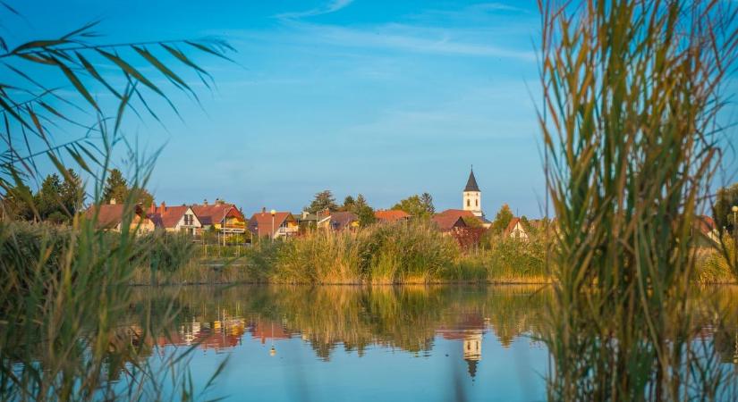 Csodaborok a Velencei-tónál, Tompa Imre ajánlásával