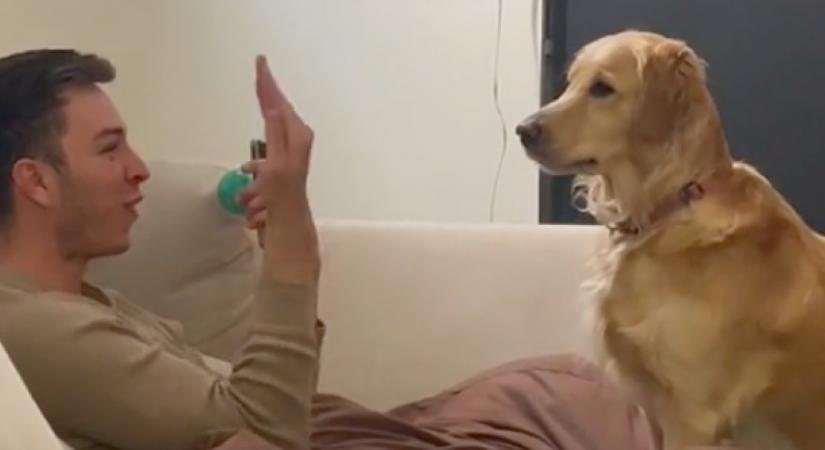 Ócska bűvésztrükkel verte át a kutyáját a srác: a golden retriever reakciója megolvasztja a szíveket - Videó