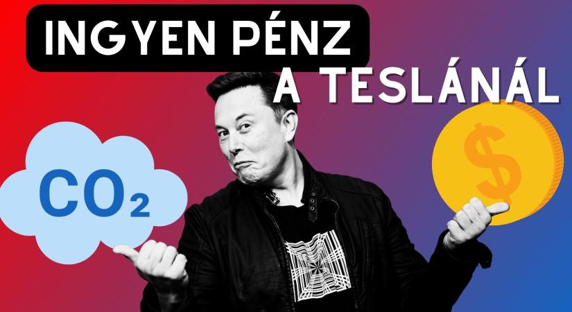Nyilvános TikTok hirdetések – Az AI épp munkahelyeket teremt – A Tesla furcsa bevétele #hírszemle