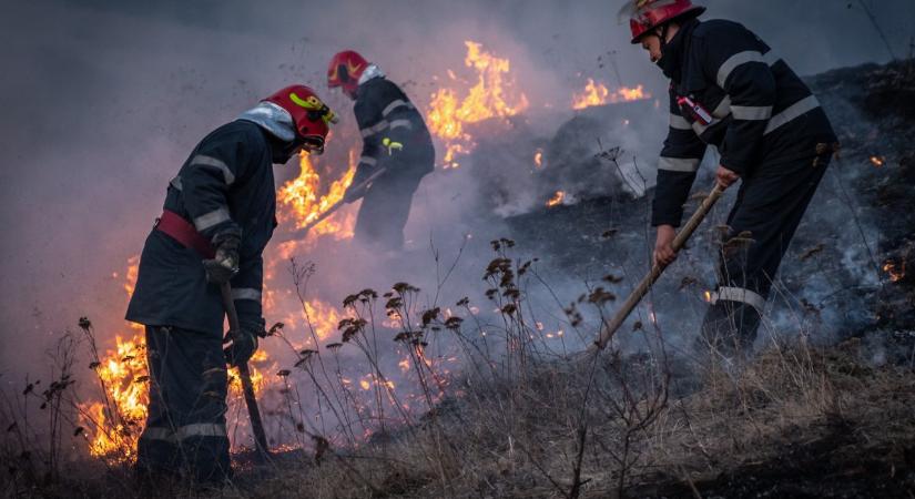Hét tűzesethez riasztották a tűzoltókat az elmúlt napokban