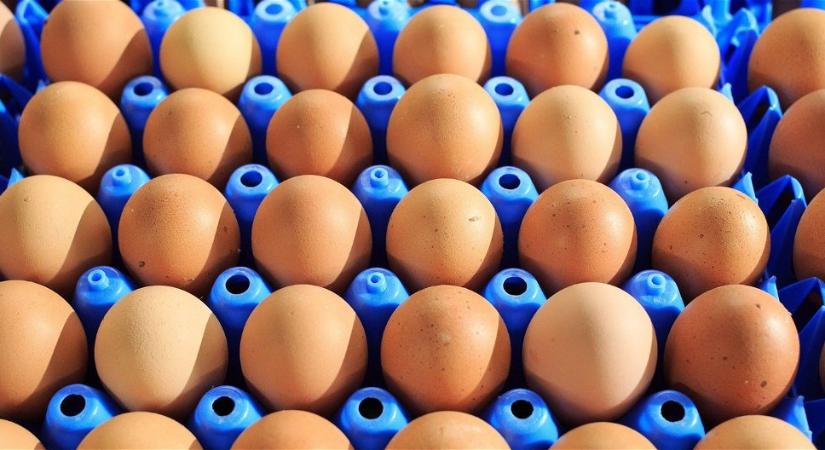 Eltűnhet a boltokból a hús, a tej és a tojás, brutális felelőtlenség áll a háttérben