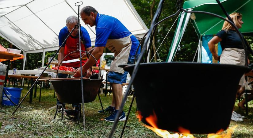 Ínyencségek és élő zene a Szajki-tavak főzőversenyen