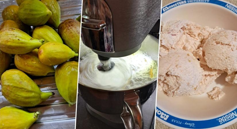 Fügéből készül a hűsítő fagylalt