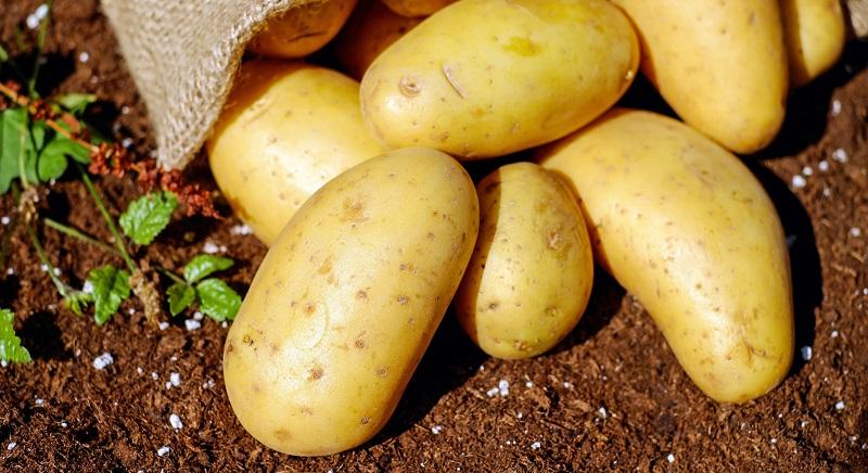Az újkrumpli ára csökkent leginkább az árrés-szabályozó rendelet hatására