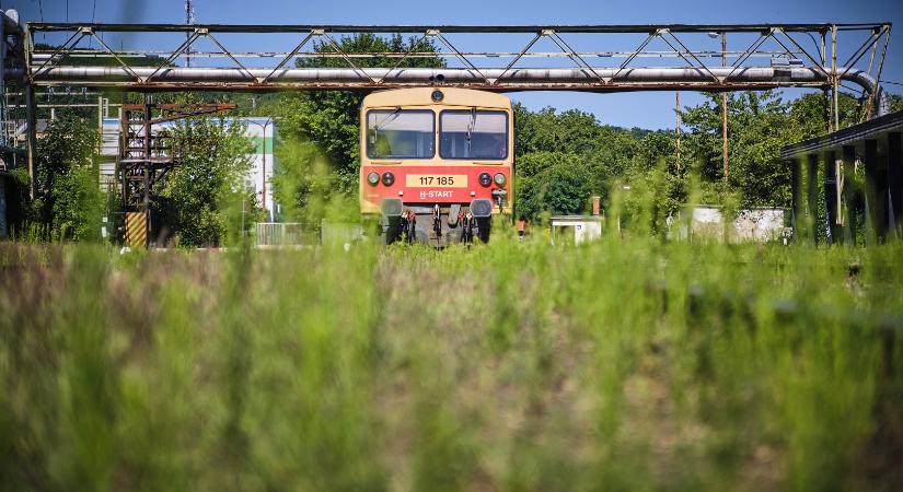 Tiszaugon a leggonoszabb a dzsindzsa