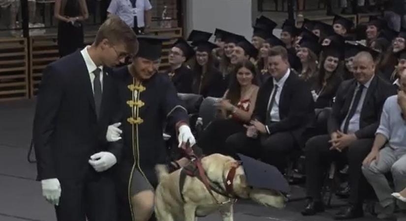 Gazdája diplomaosztóján a vakvezető kutyát is kitüntették