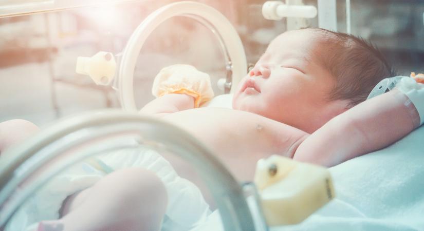 Speciális vérmintavevőket tesztel a Semmelweis Egyetem Gyermekgyógyászati Klinikája