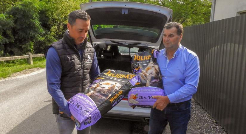 Civil szervezetek nélkül nem működne az állatvédelem