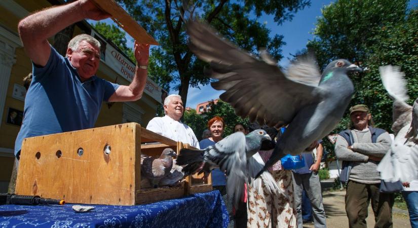 Postagalambok szálltak a magasba a Wojtyla népkonyhánál – galériával