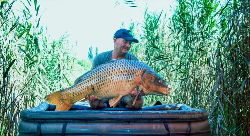 26,5 kilós ponty ficánkolt a horgon!