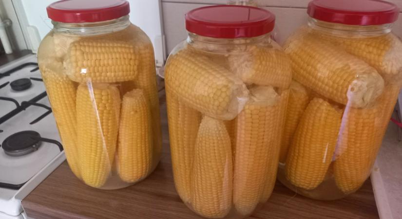 Mesebeli látvány a kukorica befőtt, a csövek így elállnak karácsonyig